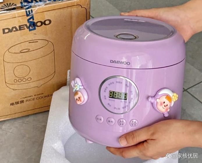 大宇电器品牌定位及品质评价分析